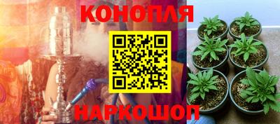 прущая мука Лесосибирск