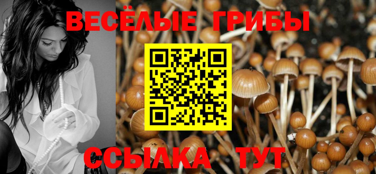 Галлюциногенные грибы мухоморы Димитровград